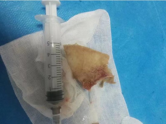 Snipaste_2023-09-03_09-42-55.jpg Snipaste_2023-09-03_09-42-55.jpg