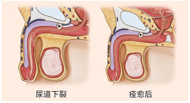 Snipaste_2025-01-02_16-42-37.jpg Snipaste_2025-01-02_16-42-37.jpg