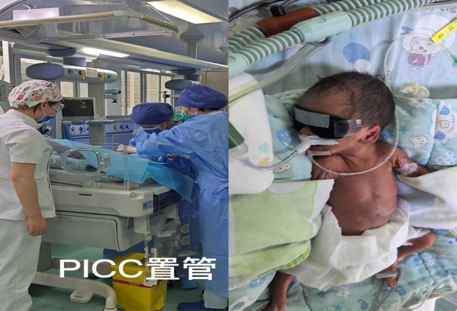 圖片16.png 圖片16.png